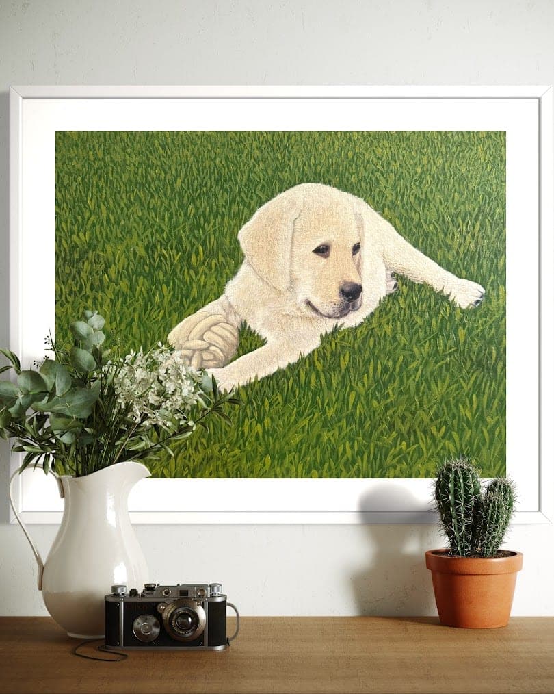 Puppy in the Grass